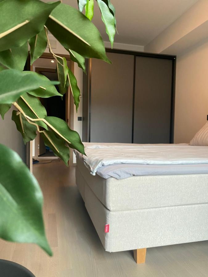 تالين Tonismae Premium Apartment With Sauna المظهر الخارجي الصورة